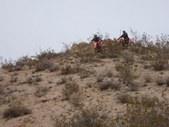 Enlarge photo 95