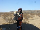 Enlarge photo 42