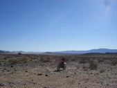 Enlarge photo 36