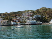 Enlarge photo 17