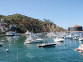 Enlarge photo 19