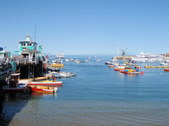 Enlarge photo 21