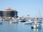 Enlarge photo 25