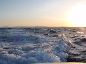Enlarge photo 30