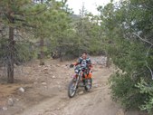 Enlarge photo 18