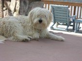 Enlarge photo 24