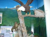 Enlarge photo 31