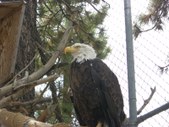 Enlarge photo 53