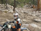 Enlarge photo 63