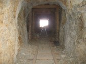 Enlarge photo 48