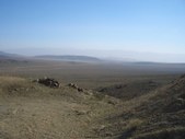 Enlarge photo 47