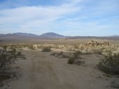 Enlarge photo 41