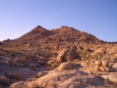 Enlarge photo 51