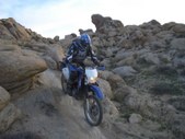 Enlarge photo 46