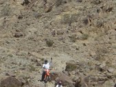 Enlarge photo 28