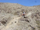 Enlarge photo 22