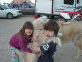Enlarge photo 11