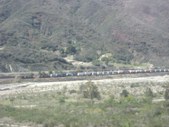Enlarge photo 38