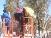 Enlarge photo 2