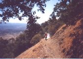 Enlarge photo 41