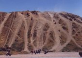Enlarge photo 55