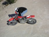 Enlarge photo 93