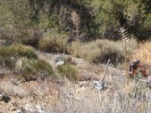 Enlarge photo 20