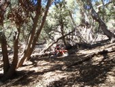 Enlarge photo 5