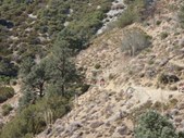 Enlarge photo 1
