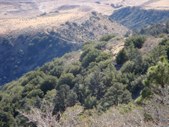 Enlarge photo 36