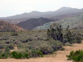 Enlarge photo 16