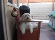 Enlarge photo 12