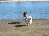 Enlarge photo 8