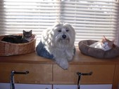 Enlarge photo 2