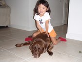Enlarge photo 23