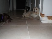 Enlarge photo 10