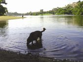 Enlarge photo 14
