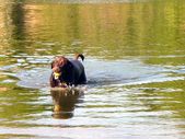 Enlarge photo 16