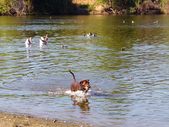 Enlarge photo 15