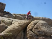 Enlarge photo 35