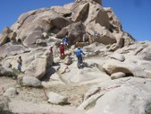 Enlarge photo 63