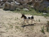 Enlarge photo 13