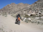 Enlarge photo 70