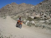 Enlarge photo 75
