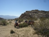 Enlarge photo 67
