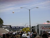 Enlarge photo 99