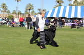 Enlarge photo 19