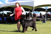 Enlarge photo 22
