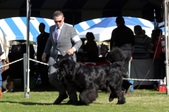 Enlarge photo 24