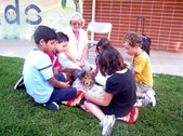 Enlarge photo 10